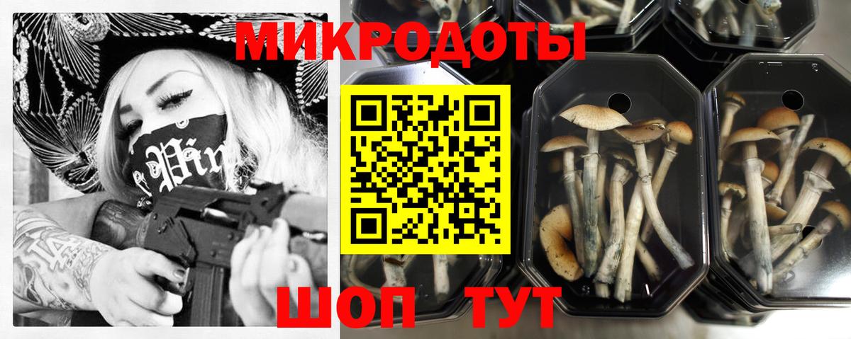 Галлюциногенные грибы ЛСД  цены   Дагестанские Огни  Вход с VPN 